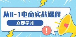 （13594期）从零做电商实战课程，教你如何获取访客、选品布局，搭建基础运营团队-七量思维