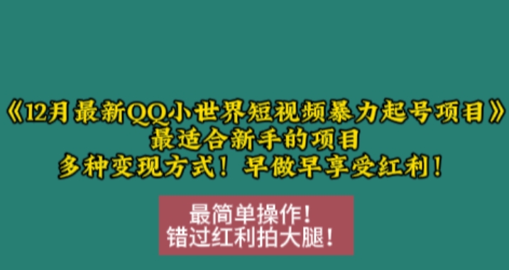 12月最新QQ小世界短视频暴力起号项目，最适合新手的项目，多种变现方式-七量思维