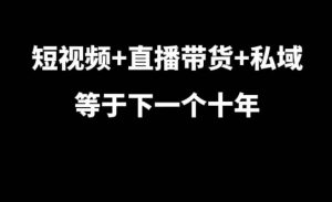 短视频+直播带货+私域等于下一个十年，大佬7年实战经验总结-七量思维