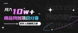 月入十万+的网创项目分享，成年人的最快翻身之道-七量思维