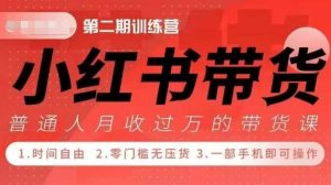 小Red书带货42天训练营 2.0版,宝妈+自由职+上班族+大学生,提高副业收入的大红利项目-七量思维