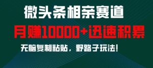 微头条相亲赛道，迅速积累，无脑复制粘贴，野路子玩法，月入1w-七量思维