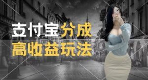 支付宝分成计划新玩法，利用交通事故视频，赚收益，轻松月入过W，操作简单-七量思维