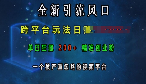 全新引流风口，跨平台玩法日入上k，单日狂揽200+精准创业粉，一个被严重忽略的视频平台-七量思维