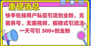 快手最新引流创业粉方法,无需养号、无需视频、搬砖式引流法-七量思维
