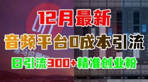 12月最新:音频平台0成本引流,日引流300+精准创业粉-七量思维