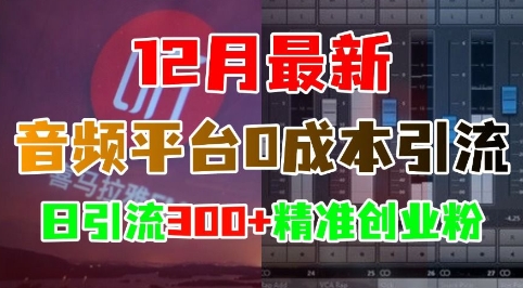 12月最新：音频平台0成本引流，日引流300+精准创业粉-七量思维