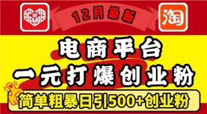 12月最新:电商平台1元打爆创业粉,简单粗暴日引500+精准创业粉,轻松月入过W-七量思维