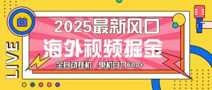 (13649期)最近风口,海外视频掘金,看海外视频广告 ,轻轻松松日入600+-七量思维