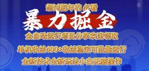 （13675期）2025暴力掘金项目，想过肥年必看！-七量思维