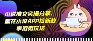 小说推文实操分享,蛋花小说APP拉新故事混剪玩法-七量思维