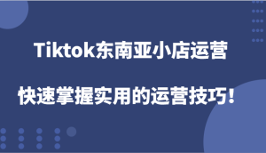 Tiktok东南亚小店运营,快速掌握实用的运营技巧!-七量思维
