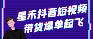 星禾抖音短视频带货爆单起飞-七量思维