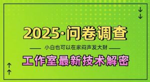 2025问卷调查最新工作室技术解密:一个人在家也可以闷声发大财,小白一天2张,可矩阵放大-七量思维