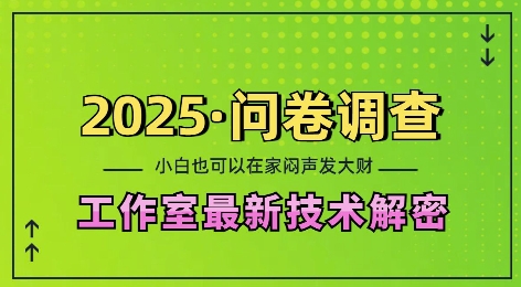 2025问卷调查最新工作室技术解密：一个人在家也可以闷声发大财，小白一天2张，可矩阵放大-七量思维