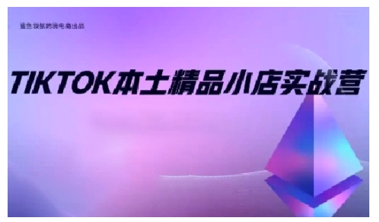 TikTok本土精品小店出海实战营，从入门到高阶，不止0-1!-七量思维