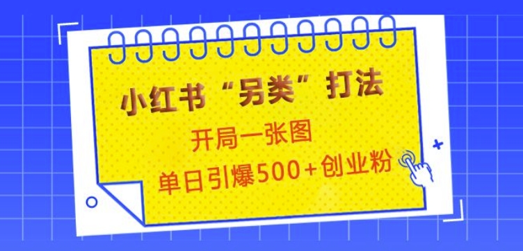 小红书“另类”打法，开局一张图，单日引爆500+精准创业粉-七量思维