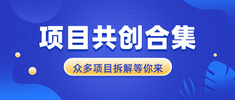 （13778期）项目共创合集，从0-1全过程拆解，让你迅速找到适合自已的项目-七量思维