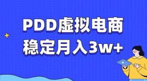 (13801期)PDD虚拟电商教程,稳定月入3w+,最适合普通人的电商项目-七量思维