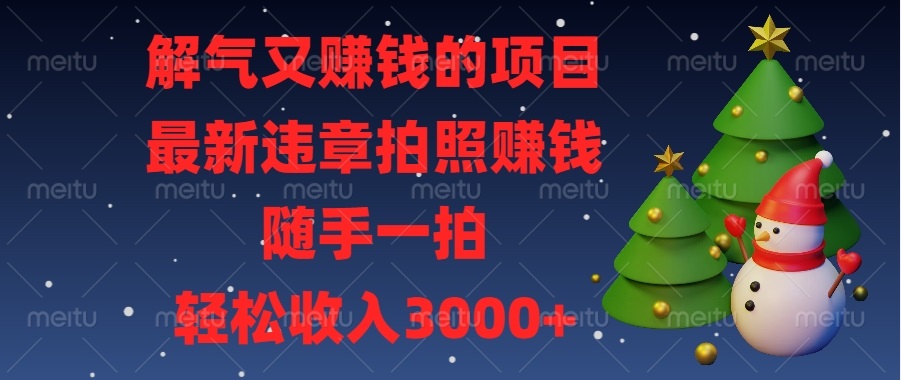 （13804期）解气又赚钱的项目，最新违章拍照赚钱，随手一拍，轻松收入3000+-七量思维