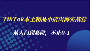 TikTok本土精品小店出海实战营，从入门到高阶，不止0-1-七量思维