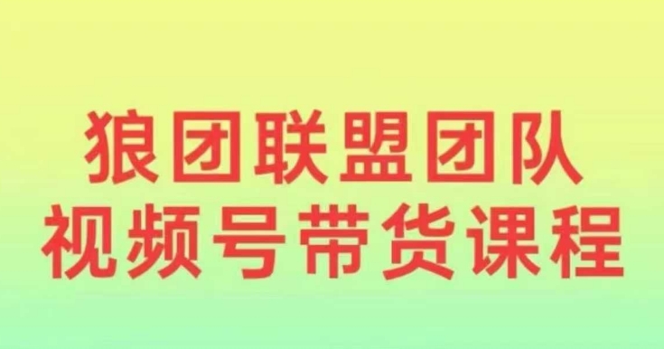 狼团联盟2024视频号带货，0基础小白快速入局视频号-七量思维