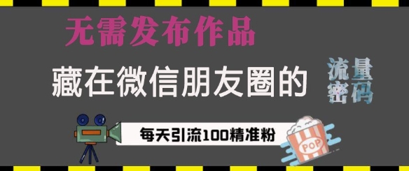 藏在微信朋友圈的流量密码，无需发布作品，单日引流100+精准创业粉-七量思维