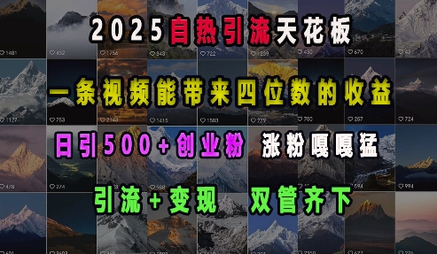 2025自热引流天花板，一条视频能带来四位数的收益，引流+变现双管齐下，日引500+创业粉，涨粉嘎嘎猛-七量思维