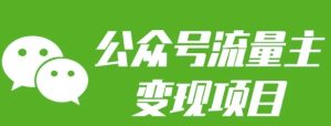 公众号流量主变现项目:每天2小时,普通人每月多挣三五千-七量思维