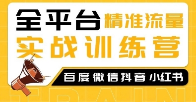 全平台精准流量实战训练营，百度微信抖音小红书SEO引流教程-七量思维