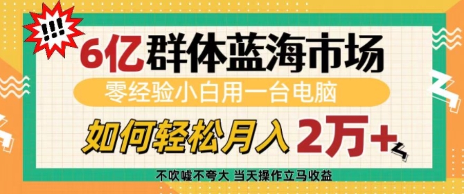 6亿群体蓝海市场，零经验小白用一台电脑，如何轻松月入过w-七量思维