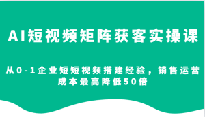 AI短视频矩阵获客实操课，从0-1企业短短视频搭建经验，销售运营成本最高降低50倍-七量思维
