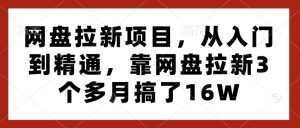 网盘拉新项目，从入门到精通，靠网盘拉新3个多月搞了16W-七量思维