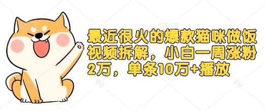 最近很火的爆款猫咪做饭视频拆解，小白一周涨粉2万，单条10万+播放(附保姆级教程)-七量思维