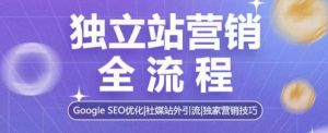 独立站营销全流程,Google SEO优化,社媒站外引流,独家营销技巧-七量思维