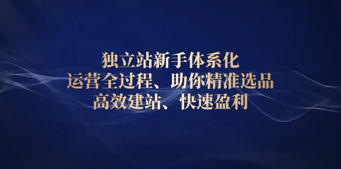 （13914期）独立站新手体系化 运营全过程，助你精准选品、高效建站、快速盈利-七量思维