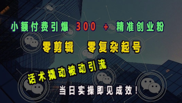 小额付费引爆 300 + 精准创业粉，零剪辑、零复杂起号，话术撬动被动引流，当日实操即见成效-七量思维