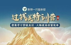 剽悍一只猫-过钱关特训营,学习营销真经 大幅度提高创富效率-七量思维