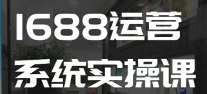 1688高阶运营系统实操课，快速掌握1688店铺运营的核心玩法-七量思维