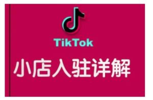 TikTok跨境小店运营全攻略,帮助你独立运营TK跨境小店的能力,实现销量增长-七量思维