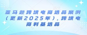 亚马逊跨境电商选品案例(更新2025年),跨境电商利基选品-七量思维