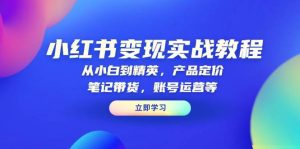 小红书变现实战教程：从小白到精英，产品定价，笔记带货，账号运营等-七量思维