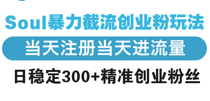 （13935期）Soul暴力截流创业粉玩法，当天注册当天进流量，日稳定300+精准创业粉丝-七量思维