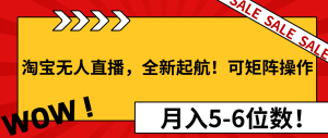 (13946期)淘宝无人直播,全新起航!可矩阵操作,月入5-6位数!-七量思维
