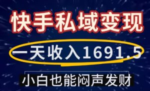 一天收入1691.5,快手私域变现,小白也能闷声发财-七量思维