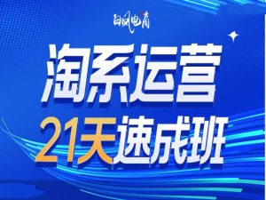 淘系运营21天速成班35期,年前最后一波和2025方向-七量思维