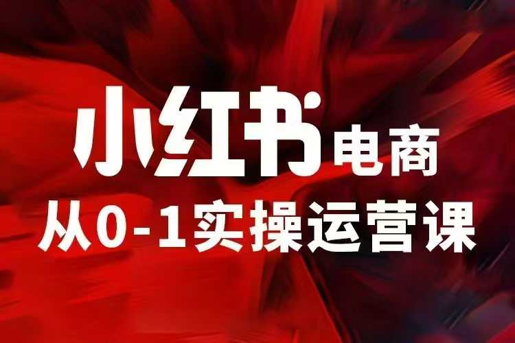 小红书电商运营，97节小红书vip内部课，带你实现小红书赚钱-七量思维