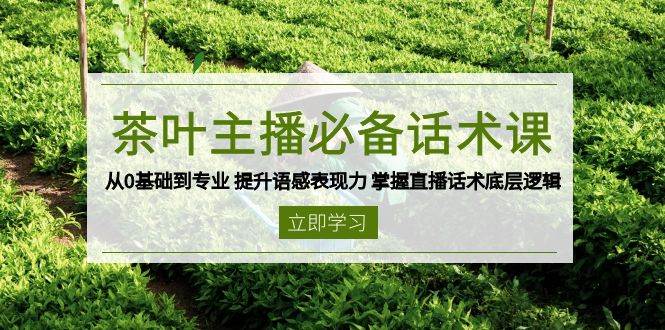 茶叶主播必备话术课 从0基础到专业 提升语感表现力 掌握直播话术底层逻辑-七量思维