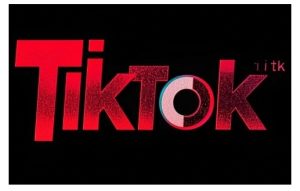TikTok ads投流秘籍，涵盖tiktok整体投放思路，教你搭建测试计划-七量思维