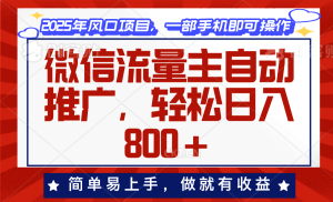 （13993期）微信流量主自动推广，轻松日入800+，简单易上手，做就有收益。-七量思维